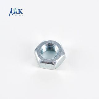 Hex Nut-5303